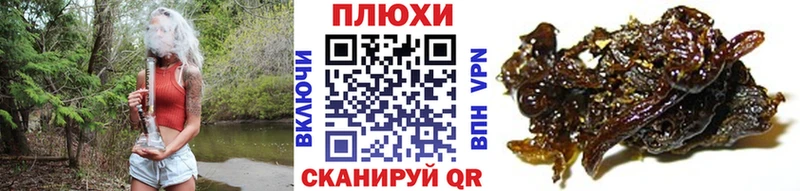 как найти закладки  Кувшиново  ГАШ Изолятор 