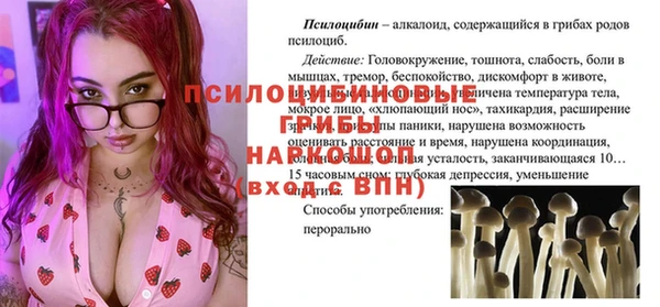 хмурый Зеленокумск