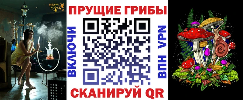Псилоцибиновые грибы Psilocybe  цены наркотик  Кувшиново 